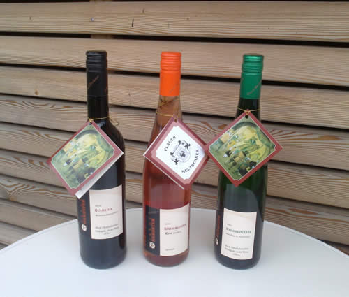 Wein