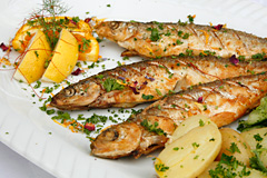 Mueritz-fischtage
