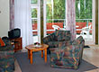 Premium Apartments Living Room